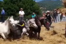 Αρκαδία: Χτυπούν άλογα σε αναπαράσταση αλωνίσματος– Οργή και αντιδράσεις για το «έθιμο» 