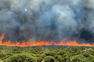 Φωτιές: Μάχη με τον χρόνο στον Έβρο, η κατάσταση στην Άνδρο- 122 πυρκαγιές σε όλη τη χώρα