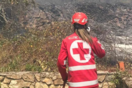 Το TikTok έδωσε 200.000 ευρώ στον Ελληνικό Ερυθρό Σταυρό για την ενίσχυση των πυρόπληκτων