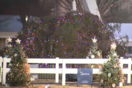 Έπεσε το χριστουγεννιάτικο δέντρο έξω από τον Λευκό Οίκο