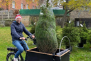 Νοικιάζει κάθε χρόνο χριστουγεννιάτικα δέντρα - Οι πελάτες του τους δίνουν και ονόματα 