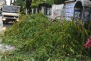 Κακοκαιρία: Καταστροφές σε σπίτια και επιχειρήσεις στην Ηλεία - Κατολισθήσεις στην Αχαΐα