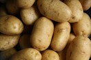 Οι καλλιέργειες πατάτας και μήλου όπλο απέναντι στην κλιματική αλλαγή