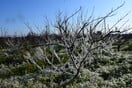 Στο Οχυρό Νευροκοπίου η ελάχιστη θερμοκρασία - Παγετός και θυελλώδεις άνεμοι