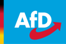 «Οι αληθινοί άνδρες είναι δεξιοί»: Το AfD προσπαθεί να δελεάσει νεαρούς ψηφοφόρους μέσω TikTok