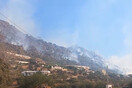 Φωτιά στο Λασίθι: Ενισχύθηκαν οι δυνάμεις της Πυροσβεστικής - Διάσπαρτες εστίες και προβλήματα λόγω ισχυρών ανέμων