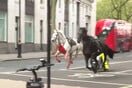 Σε σοβαρή κατάσταση τα δυο άλογα που κάλπαζαν ανεξέλεγκτα στο Λονδίνο