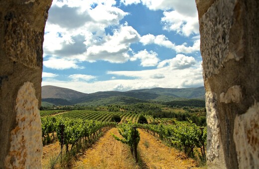 H ιστορία του Γιάννη Τσέλεπου είναι συνδεδεμένη με την άνοιξη του ελληνικού κρασιού
