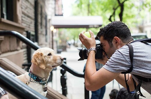 Μια μέρα στη ζωή του The Dogist, του πιο διάσημου φωτογράφου σκυλιών της Νέας Υόρκης