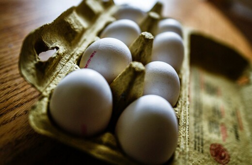 Η Κομισιόν προετοιμάζει σύσκεψη για το σκάνδαλο με τα μολυσμένα αυγά
