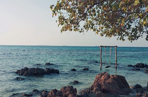Νησί της Ιάβας: Ένας μυστηριώδης προορισμός, όπου η βανίλια της ορχιδέας ανθίζει μόνο για μια μέρα