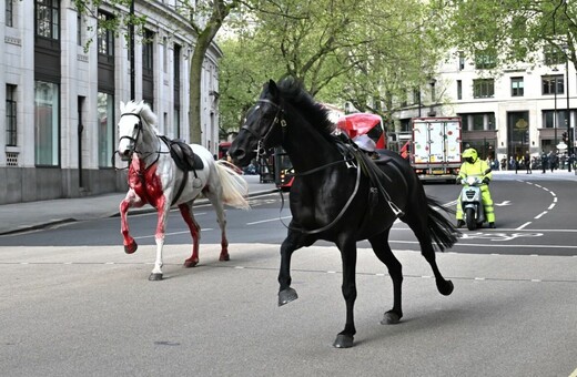 Άλογα καλπάζουν ανεξέλεγκτα στο Λονδίνο - Τουλάχιστον τέσσερις τραυματίες 