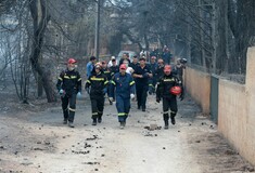 Φονικές πυρκαγιές: Πολλοί είναι ακόμη οι αγνοούμενοι - 79 νεκροί και 164 ενήλικες τραυματίες(upd)