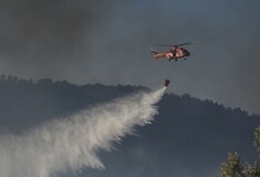 Πάνω από 90 πυρκαγιές σε μία μέρα - Καλύτερη η κατάσταση στη Ζάκυνθο