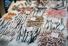 Το 66% των ψαρικών που καταναλώνουν οι Έλληνες είναι εισαγόμενα