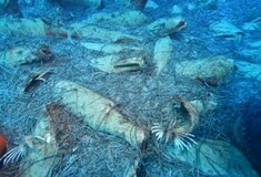 Σπουδαία ανακάλυψη στην Κύπρο - Αρχαίο ναυάγιο ρωμαϊκών χρόνων εντοπίστηκε στη θάλασσα του Πρωταρά