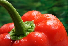 Ερευνα: Πολλές καυτερές πιπεριές, περισσότερα χρόνια ζωής