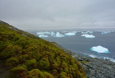 Η Ανταρκτική αρχίζει να «πρασινίζει» και οι επιστήμονες υποστηρίζουν ότι οφείλεται στην κλιματική αλλαγή