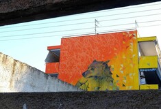 Urban Act: Εντυπωσιακή τοιχογραφία για τα αδέσποτα που «δεν έχουν φωνή», στον Βόλο
