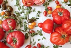 Τι τρώει ο Νίκος Καραθάνος: Ντομάτες