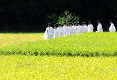 Οι 4 ιερές εποχές στον γαλήνιο σιντοϊστικό «Ναό με την αιώνια Νεότητα»