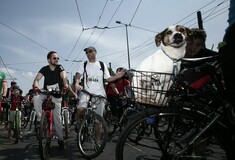 Μικροί, μεγάλοι και σκυλιά σε δύο ρόδες για τον Ποδηλατικό Γύρο της Αθήνας