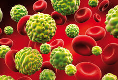 Ερευνητές υποστηρίζουν ότι βρήκαν τυχαία, θεραπεία για τον καρκίνο μέσω της ελονοσίας