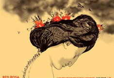 Red Rosa: 'Ενα graphic novel της Kate Evans