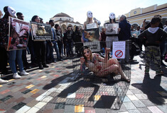 Ακτιβιστές σε γυμνή διαμαρτυρία και συγκέντρωση στο Μοναστηράκι για τα δικαιώματα των ζώων