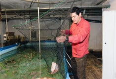 Σε ένα υπόγειο στην Βασιλίσσης Σοφίας ο Κωνσταντίνος εκτρέφει ψάρια για να φάει