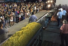 Η Νάξος μπαίνει στο Γκίνες με μια τεράστια μερίδα πατάτες και η επιτυχία πανηγυρίζεται (video)