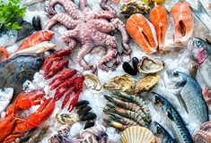 Γιατί συνεχίζουμε να τρώμε προστατευόμενα είδη θαλασσινών στα ελληνικά εστιατόρια;