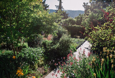 Σε έναν κήπο-παράδεισο μεσογειακών φυτών στην Παιανία