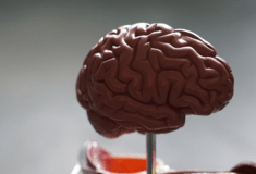 Νέα ανακάλυψη δίνει ελπίδες για τη «μάχη» κατά του Αλσχάιμερ και άλλων νευρολογικών παθήσεων