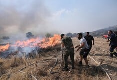 CHECK Δασικές πυρκαγιές: πύρινη κόλαση με νέα αρνητικά ρεκόρ 