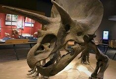 Δεινόσαυρος 