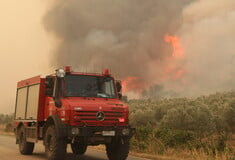 Η φωτιά στον Έβρο ήταν η μεγαλύτερη στην Ευρώπη από το 1980  - Έκθεση της ΕΕ