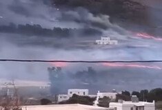 Φωτιά στην Πάρο - Μήνυμα του 112 στους κατοίκους στο Πυργάκι - Δείτε βίντεο