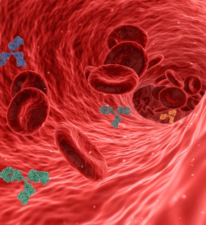 Έρευνα: Βλάβες στα αγγεία και το αίμα για 1 στους 4 μετά την νόσηση από Covid