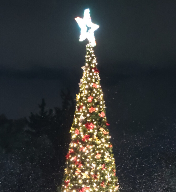 Φωταγωγήθηκε το χριστουγεννιάτικο δένδρο της περιφέρειας Αττικής στο Πεδίον του Άρεως