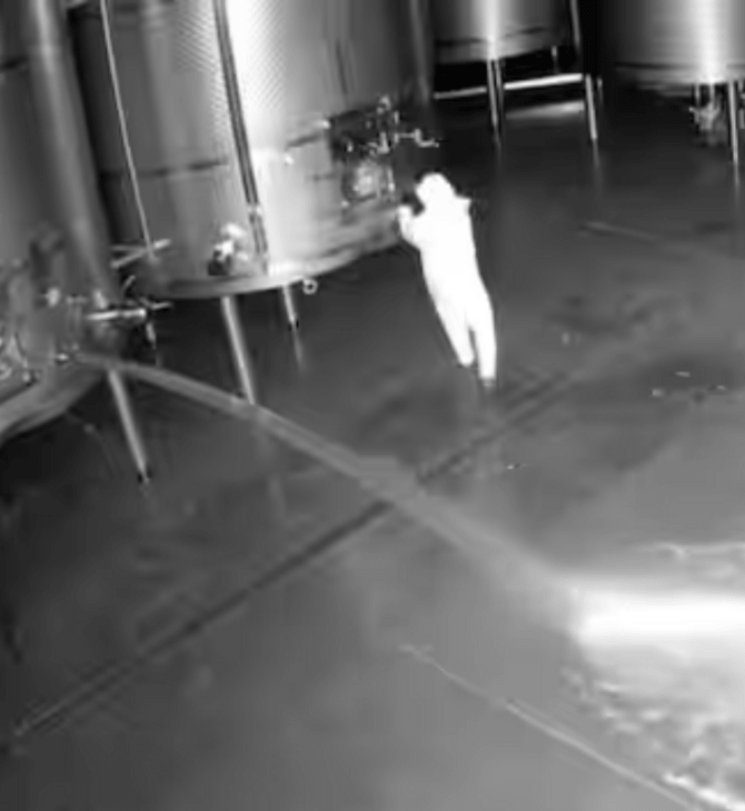 Intruder spills 60,000 litres of wine worth €2.5m at Spanish winery