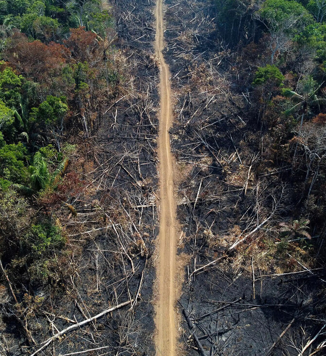 Κολομβία: Οι ένοπλοι αντάρτες χρησιμοποιούν τα δάση στον Αμαζόνιο για διαπραγματεύσεις με την κυβέρνηση