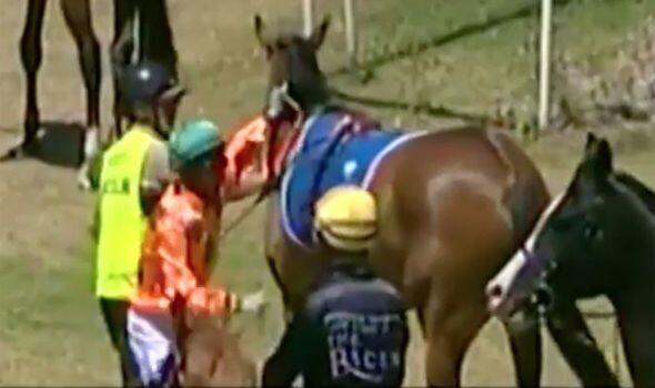 Κατακραυγή και τιμωρία για τον αναβάτη που έριξε γροθιά στο άλογό του - Το βίντεο σόκαρε τους τηλεθεατές