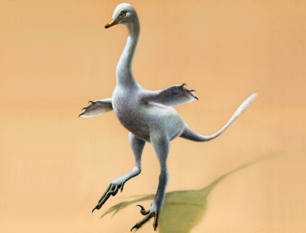 Ανακαλύφθηκε ο πρώτος αμφίβιος σαρκοβόρος δεινόσαυρος, με λαιμό κύκνου και πόδια πάπιας