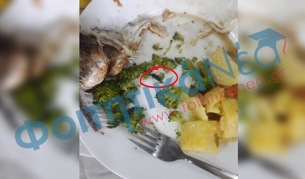 Δείτε τι καταγγέλλει ότι βρήκε στο φαγητό του ένας φοιτητής στην Πανεπιστημιακή Λέσχη Πατρών