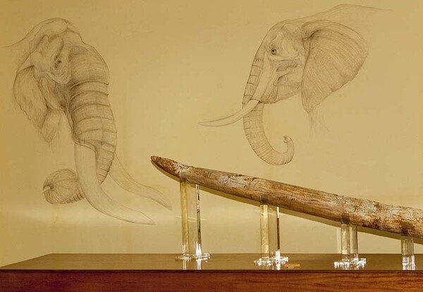 Κυνήγι (προϊστορικών) ελεφάντων στο Μουσείο Φυσικής Ιστορίας των Γρεβενών