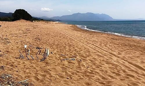 Ο ΑΡΧΕΛΩΝ καταγγέλλει αγώνα ταχύτητας από 280 μοτοσικλέτες σε παραλία με φωλιές καρέτα-καρέτα