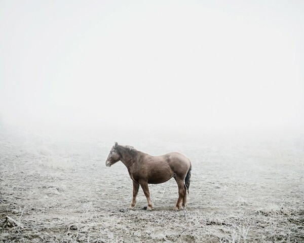 Ο Tamas Dezso φωτογράφισε με λυρικό τρόπο την αγροτική Ρουμανία