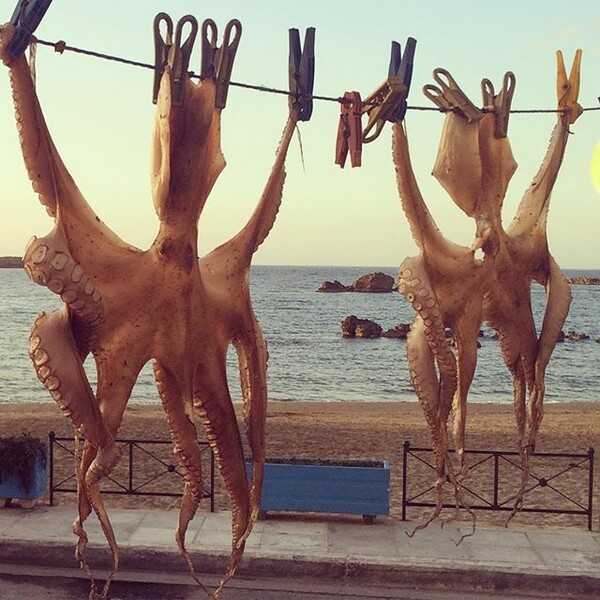 Tι τρώει η Ελλάδα: 30 νέες φωτογραφίες των αναγνωστών μας στο #Lifokitchen)