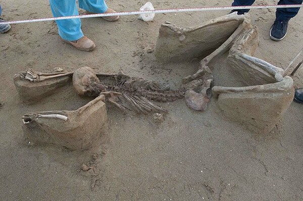 Το αρχαίο μυστικό που κρύβουν οι αλυσοδεμένοι σκελετοί στην Νεκρόπολη του Φαλήρου